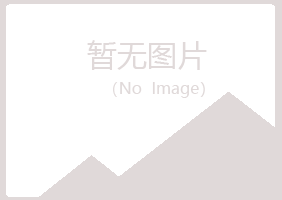 黑山县碧彤培训有限公司